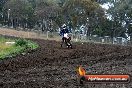 Champions Ride Days MotoX Broadford 24 11 2013 - 6CR_3576