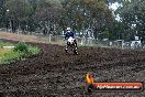 Champions Ride Days MotoX Broadford 24 11 2013 - 6CR_3577