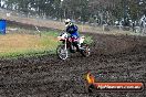 Champions Ride Days MotoX Broadford 24 11 2013 - 6CR_3580