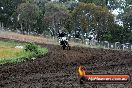 Champions Ride Days MotoX Broadford 24 11 2013 - 6CR_3589