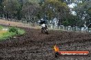 Champions Ride Days MotoX Broadford 24 11 2013 - 6CR_3590