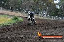 Champions Ride Days MotoX Broadford 24 11 2013 - 6CR_3593