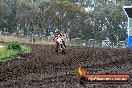 Champions Ride Days MotoX Broadford 24 11 2013 - 6CR_3600