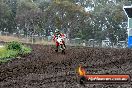Champions Ride Days MotoX Broadford 24 11 2013 - 6CR_3600