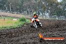 Champions Ride Days MotoX Broadford 24 11 2013 - 6CR_3602