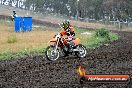 Champions Ride Days MotoX Broadford 24 11 2013 - 6CR_3604