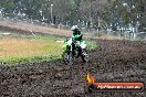 Champions Ride Days MotoX Broadford 24 11 2013 - 6CR_3611
