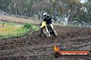 Champions Ride Days MotoX Broadford 24 11 2013 - 6CR_3621