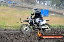 Champions Ride Days MotoX Broadford 24 11 2013 - 6CR_3636