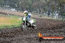 Champions Ride Days MotoX Broadford 24 11 2013 - 6CR_3643