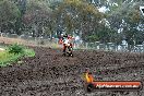 Champions Ride Days MotoX Broadford 24 11 2013 - 6CR_3648