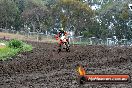 Champions Ride Days MotoX Broadford 24 11 2013 - 6CR_3649