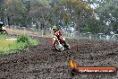 Champions Ride Days MotoX Broadford 24 11 2013 - 6CR_3650