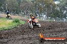 Champions Ride Days MotoX Broadford 24 11 2013 - 6CR_3651