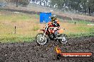 Champions Ride Days MotoX Broadford 24 11 2013 - 6CR_3655