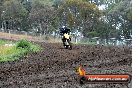 Champions Ride Days MotoX Broadford 24 11 2013 - 6CR_3656