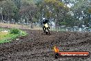 Champions Ride Days MotoX Broadford 24 11 2013 - 6CR_3657