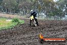 Champions Ride Days MotoX Broadford 24 11 2013 - 6CR_3659