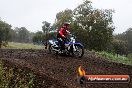 Champions Ride Days MotoX Broadford 24 11 2013 - 6CR_3675