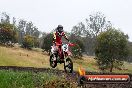 Champions Ride Days MotoX Broadford 24 11 2013 - 6CR_3681