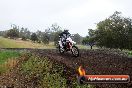 Champions Ride Days MotoX Broadford 24 11 2013 - 6CR_3723