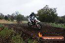 Champions Ride Days MotoX Broadford 24 11 2013 - 6CR_3724