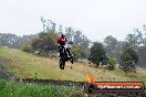 Champions Ride Days MotoX Broadford 24 11 2013 - 6CR_3728