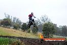 Champions Ride Days MotoX Broadford 24 11 2013 - 6CR_3730