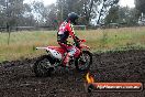 Champions Ride Days MotoX Broadford 24 11 2013 - 6CR_3745