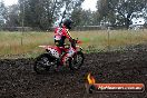 Champions Ride Days MotoX Broadford 24 11 2013 - 6CR_3746