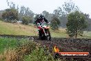 Champions Ride Days MotoX Broadford 24 11 2013 - 6CR_3763