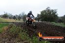 Champions Ride Days MotoX Broadford 24 11 2013 - 6CR_3766
