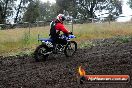 Champions Ride Days MotoX Broadford 24 11 2013 - 6CR_3787
