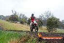 Champions Ride Days MotoX Broadford 24 11 2013 - 6CR_3790