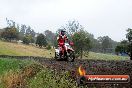 Champions Ride Days MotoX Broadford 24 11 2013 - 6CR_3791