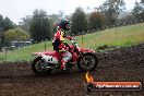 Champions Ride Days MotoX Broadford 24 11 2013 - 6CR_3795