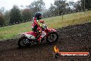Champions Ride Days MotoX Broadford 24 11 2013 - 6CR_3796