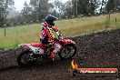 Champions Ride Days MotoX Broadford 24 11 2013 - 6CR_3797