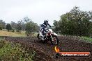Champions Ride Days MotoX Broadford 24 11 2013 - 6CR_3803