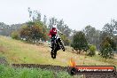 Champions Ride Days MotoX Broadford 24 11 2013 - 6CR_3825