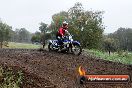 Champions Ride Days MotoX Broadford 24 11 2013 - 6CR_3830