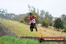 Champions Ride Days MotoX Broadford 24 11 2013 - 6CR_3834