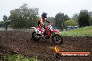 Champions Ride Days MotoX Broadford 24 11 2013 - 6CR_3839