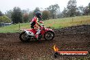 Champions Ride Days MotoX Broadford 24 11 2013 - 6CR_3841