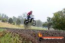Champions Ride Days MotoX Broadford 24 11 2013 - 6CR_3878