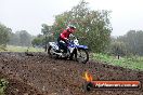 Champions Ride Days MotoX Broadford 24 11 2013 - 6CR_3879