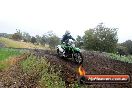 Champions Ride Days MotoX Broadford 24 11 2013 - 6CR_3920