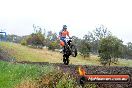 Champions Ride Days MotoX Broadford 24 11 2013 - 6CR_3937
