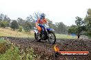 Champions Ride Days MotoX Broadford 24 11 2013 - 6CR_3939