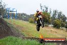 Champions Ride Days MotoX Broadford 24 11 2013 - 6CR_3941
